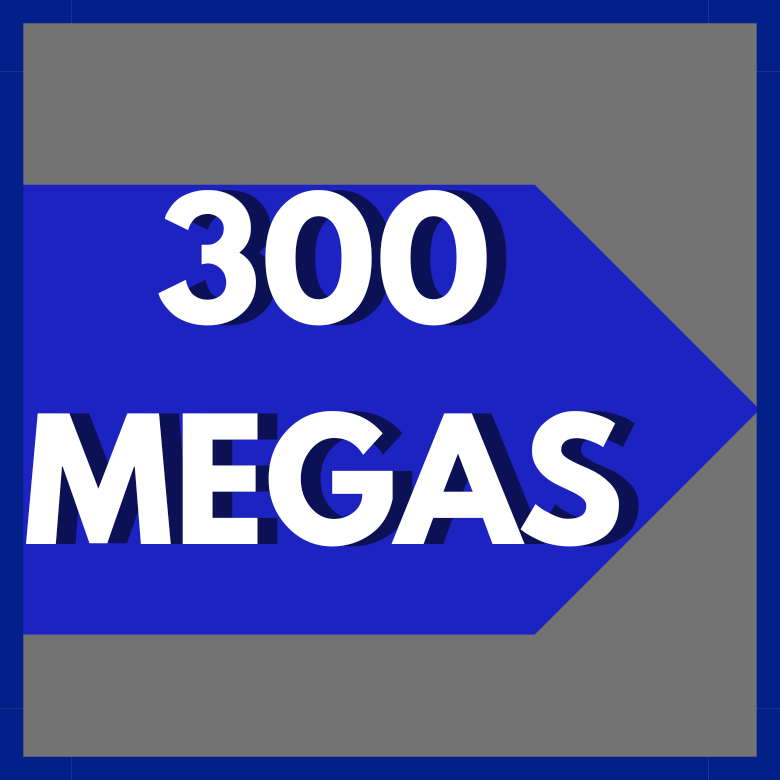 Plan 300 Megas